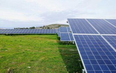 Le cabinet HK legal défend un projet photovoltaïque développé par le producteur CVE et obtient gain de cause dans une affaire de dérogation espèces protégées (CAA Bordeaux, 10 juin 2025, n° 24BX02196)